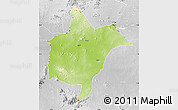 Physical Map of Benoue, lighten, desaturated