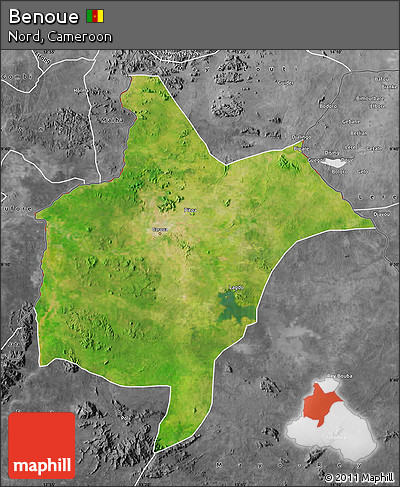 Satellite Map of Benoue, desaturated