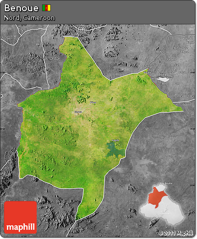 Satellite Map of Benoue, desaturated