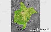 Satellite Map of Benoue, desaturated