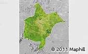Satellite Map of Benoue, lighten, desaturated