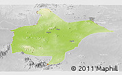 Physical Panoramic Map of Benoue, lighten, desaturated