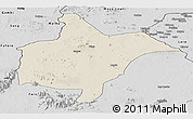 Shaded Relief Panoramic Map of Benoue, desaturated