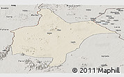 Shaded Relief Panoramic Map of Benoue, semi-desaturated