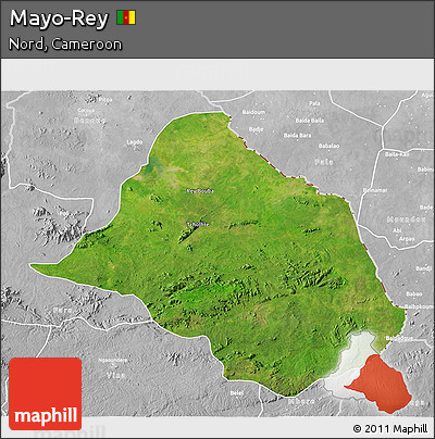 Satellite 3D Map of Mayo-Rey, lighten, desaturated