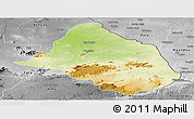 Physical Panoramic Map of Mayo-Rey, desaturated