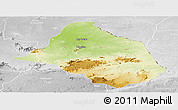 Physical Panoramic Map of Mayo-Rey, lighten, desaturated