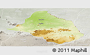Physical Panoramic Map of Mayo-Rey, lighten, semi-desaturated