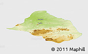 Physical Panoramic Map of Mayo-Rey, single color outside