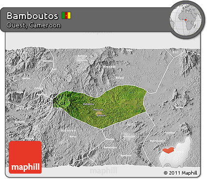 Satellite 3D Map of Bamboutos, lighten, desaturated