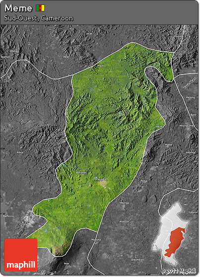 Satellite Map of Meme, desaturated