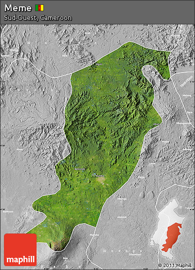 Satellite Map of Meme, lighten, desaturated