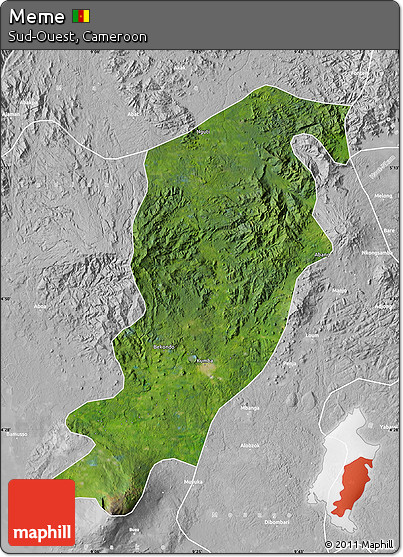 Satellite Map of Meme, lighten, desaturated
