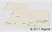Shaded Relief Panoramic Map of Division No. 12, lighten, desaturated
