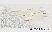 Shaded Relief 3D Map of Division No. 14, lighten, semi-desaturated