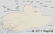 Shaded Relief 3D Map of Division No. 18, desaturated