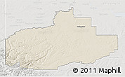 Shaded Relief 3D Map of Division No. 18, lighten, semi-desaturated