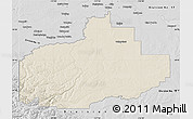 Shaded Relief Map of Division No. 18, desaturated