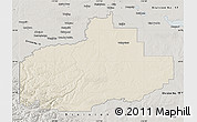 Shaded Relief Map of Division No. 18, semi-desaturated