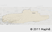 Shaded Relief Panoramic Map of Division No. 18, lighten, semi-desaturated