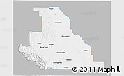 Gray 3D Map of Division No.  3, single color outside