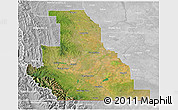 Satellite 3D Map of Division No.  3, lighten, desaturated