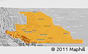 Political Panoramic Map of Division No.  3, lighten, desaturated