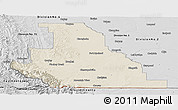 Shaded Relief Panoramic Map of Division No.  3, desaturated