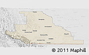 Shaded Relief Panoramic Map of Division No.  3, lighten, desaturated