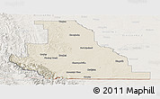 Shaded Relief Panoramic Map of Division No.  3, lighten
