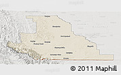 Shaded Relief Panoramic Map of Division No.  3, lighten, semi-desaturated