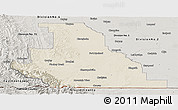 Shaded Relief Panoramic Map of Division No.  3, semi-desaturated