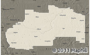 Shaded Relief Map of Division No.  7, darken
