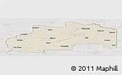 Shaded Relief Panoramic Map of Division No.  7, lighten, semi-desaturated