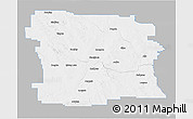 Gray 3D Map of Division No.  8, single color outside