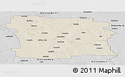 Shaded Relief Panoramic Map of Division No.  8, desaturated