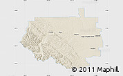 Shaded Relief Map of Division No.  9, single color outside