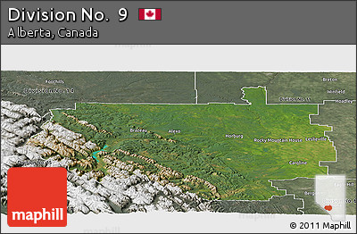 Satellite Panoramic Map of Division No.  9, semi-desaturated