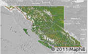 Satellite 3D Map of British Columbia, lighten, desaturated