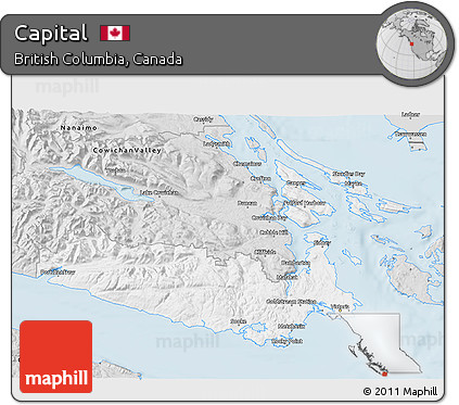 Silver Style 3D Map of Capital