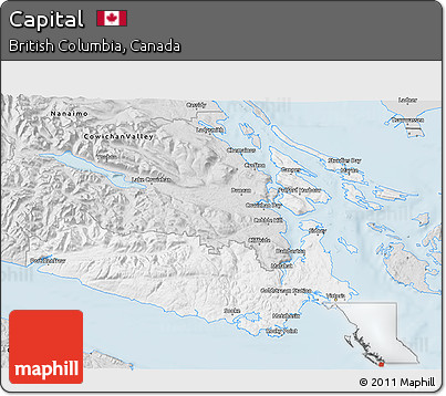 Silver Style 3D Map of Capital