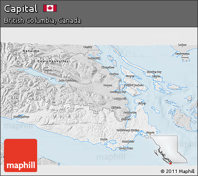 Silver Style 3D Map of Capital