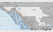 Gray Map of Stikine