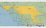Savanna Style Map of Stikine
