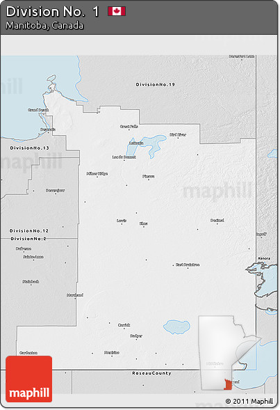 Silver Style 3D Map of Division No.  1