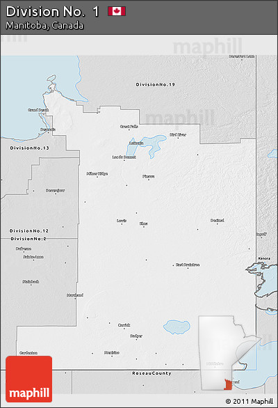 Silver Style 3D Map of Division No.  1