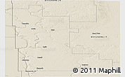 Shaded Relief Panoramic Map of Division No. 16