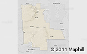 Shaded Relief 3D Map of Division No. 20, desaturated