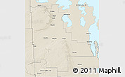 Shaded Relief 3D Map of Division No. 20