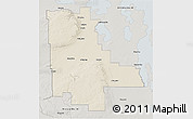 Shaded Relief 3D Map of Division No. 20, semi-desaturated